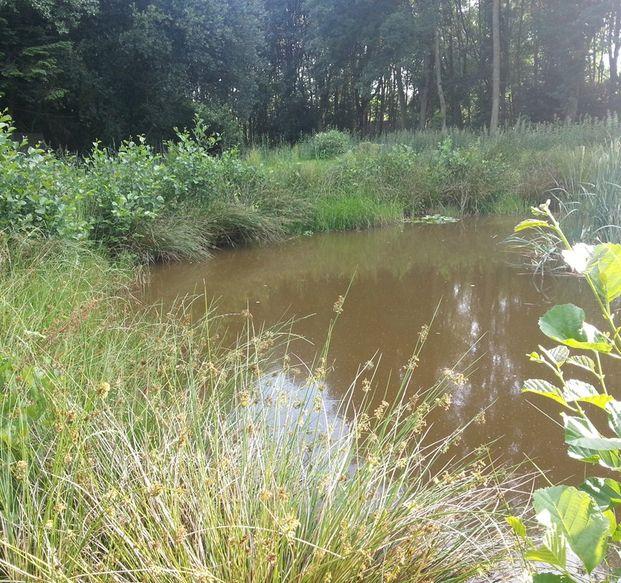 Prachtige vrijstaande woonboerderij uitkijkend op de Drentse Hondsrug.