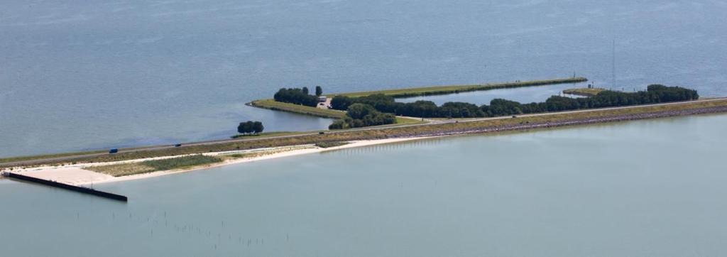 Figuur 1-4 Overzicht proefsectie langs Houtribdijk in juni 2017, drie jaar na de aanleg duidelijk herkenbare vegetatievakken [bron: opname RWS, Jurriaan Brobbel].