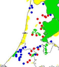 1112116 blz 41 Voor zover bekend overwinteren meervleermuizen in Nederland in bunkers, forten, vestingwerken, oude steenfabrieken en kelders.