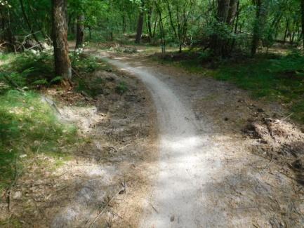 De geasfalteerde rijbaan loopt iets door en splitst zich in een fietspad en een voetpad (2). Het voetpad loopt over een heuvel met een steile helling (gele lijn).