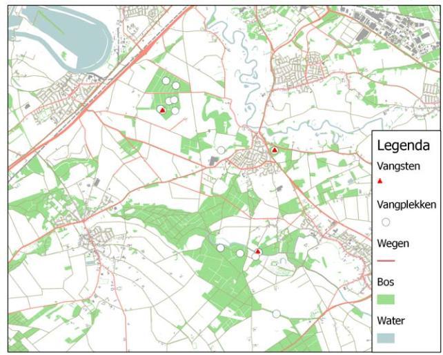 Baardvleermuis Niet op Meinweg vastgesteld