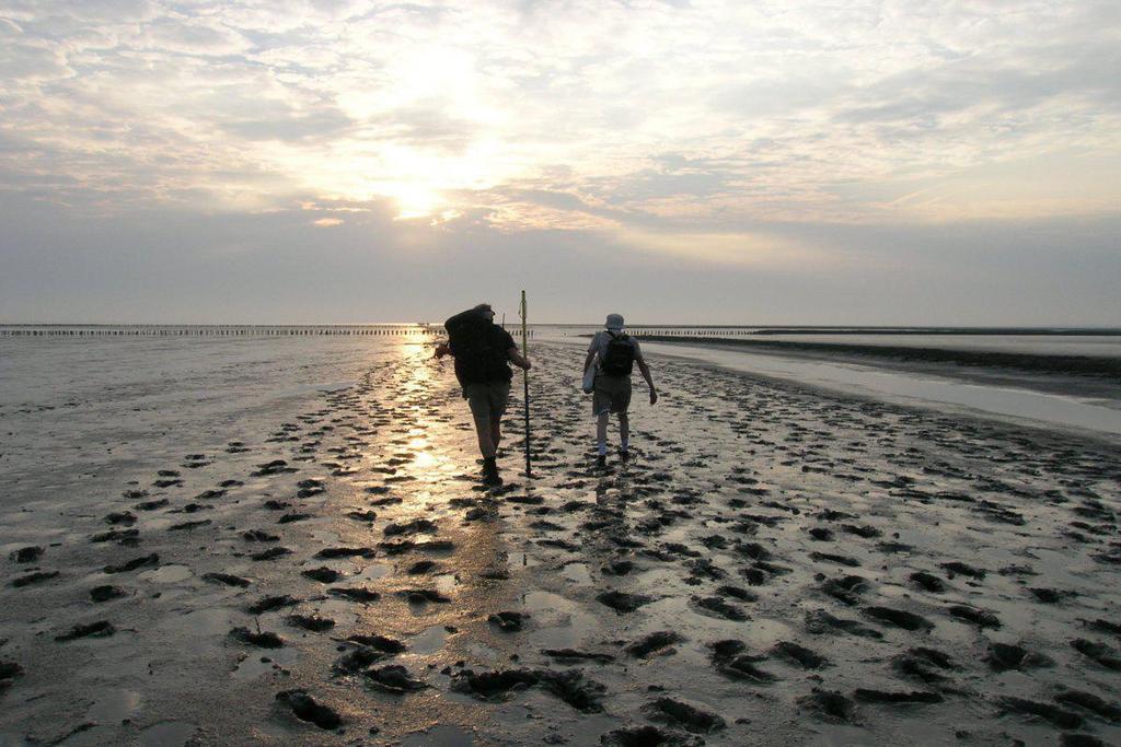 Algemene gegevens OP GOED GELUK Geen hand voor ogen zien en toch stapje voor stapje verdergaan; veertig dagen lang tastend, hopend op goed geluk dat deze weg niet doodloopt.