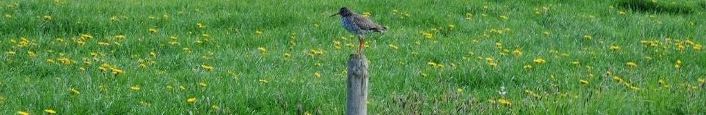 Het nieuwe agrarisch natuurbeheer volgens EL&I Eén loket, integrale gebiedsofferte Collectief als eindbegunstigde Afspraken van 6 jaar tussen overheid en collectief op basis van arealen en