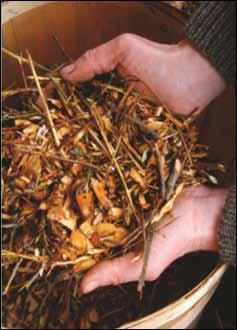 Mulchen In de natuur wordt ieder kaal stuk zo snel mogelijk gevuld met planten of met een laag bladeren.