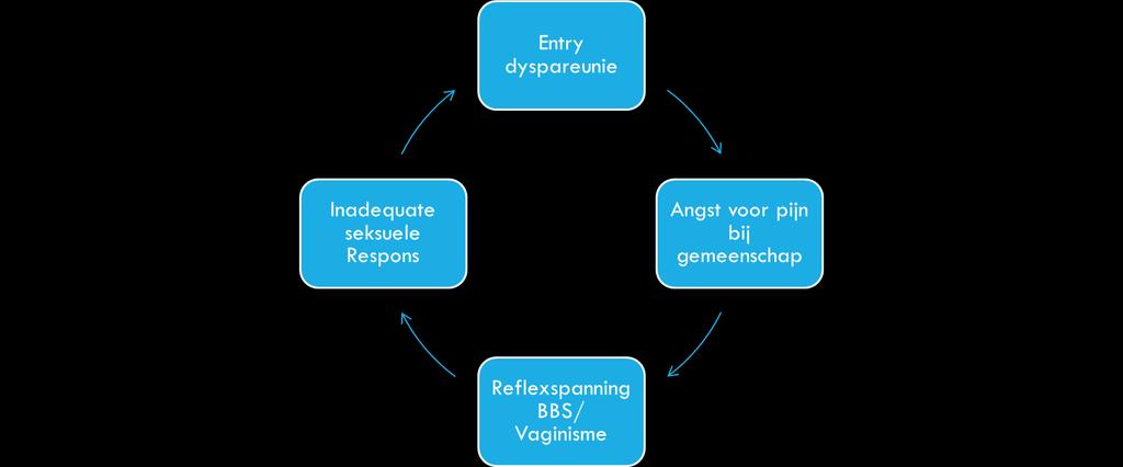 SEKSUELE PIJN CYCLUS VAGINISME/DYSPAREÜNIE The development and maintenance of sexual pain disorders has been repeatedly conceptualized as cyclical in nature, usually within cognitive-behavioral