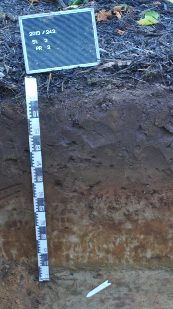 Fig. 3.2: De lithostratigrafische en bodemkundige opbouw ter hoogte van bodemprofiel 2. 3.2 Assessment van het sporenbestand Het archeologisch relevant niveau (aanlegvlak) situeert zich op een gemiddelde diepte van 60 cm beneden het maaiveld.