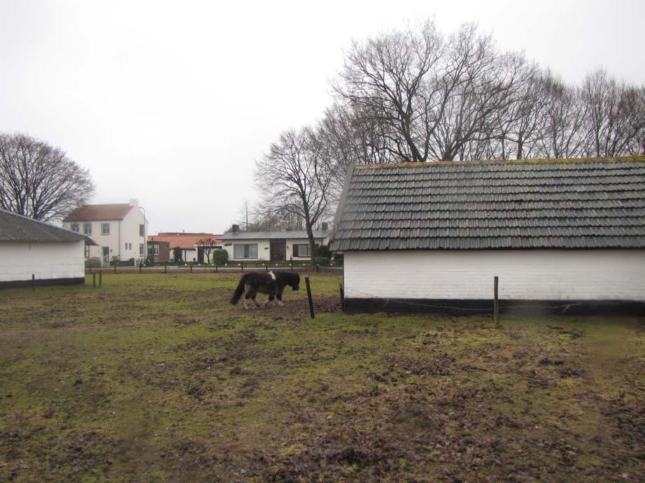 ArcheoPro Archeologisch rapport Nr 910 Vdburghlaan, Tienray Gemeente Meerlo-Wansum Inventariserend