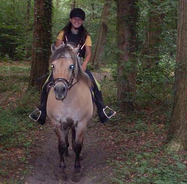 Maar ondertussen wist mijn moeder ook dat ik een lease pony zocht en vroeg aan Annika hebben jullie nog een ruiter nodig? Annika had gezegd: "Nee, maar ik vraag het even na.