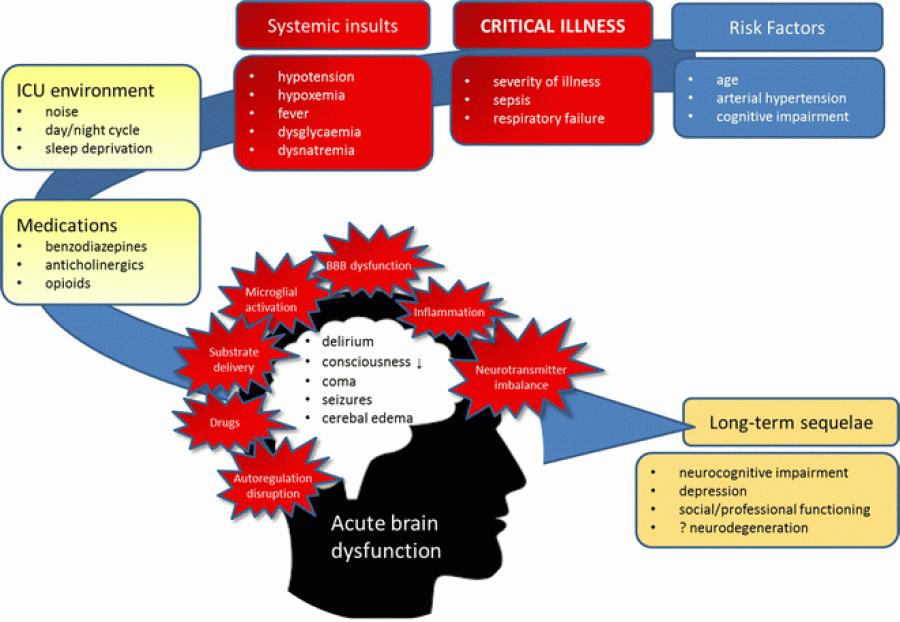 Cognitieve problemen o o o Vermoeidheid Zenuw- en gewrichtspijnen Neurocognitieve klachten