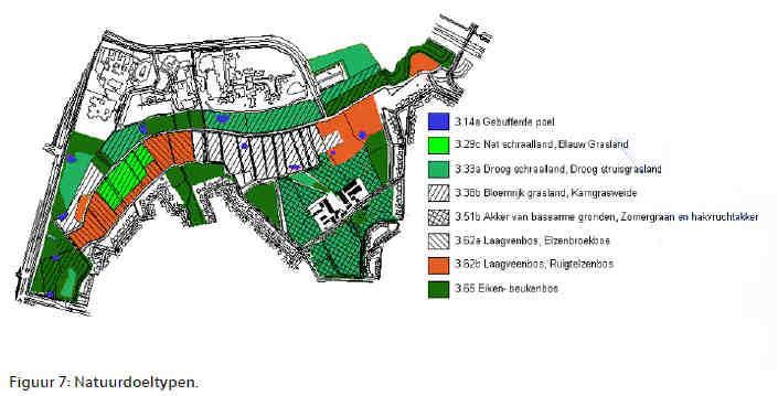 De beoogde natuurtypen Het hooiland wordt periodiek gemaaid en wordt blauwgrasland. De eerste orchideeën beginnen op te komen. In het gebied liggen acht poeltjes.