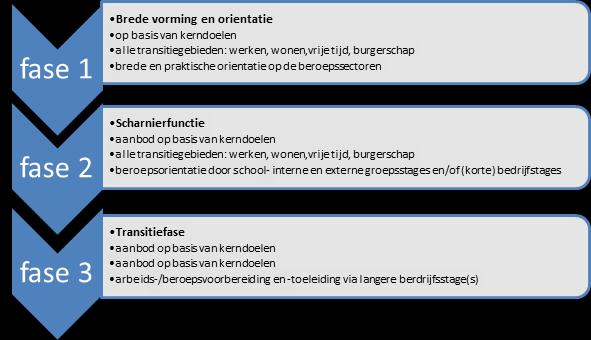 De vorm van de stages verschilt dus per fase, zie hier onderstaande schema. De leerlingen worden binnen de verschillende fases ingedeeld in bovengenoemde uitstroomprofielen.