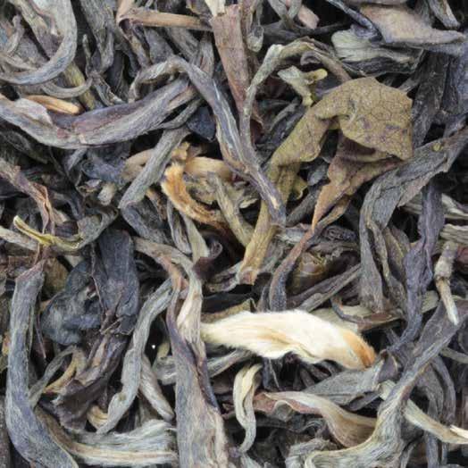 Voor de productie van gele thee worden de theeblaadjes net als bij groene thee na het plukken snel verhit in wokvormige pannen.