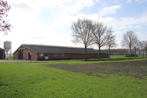 De kenmerken van deze gebouwen zijn als volgt: Kapschuur (fig. 2, nr. 1) Het complex is geheel van enkelwandig hout met een golfplaten dak zonder beschot (fig. 3).