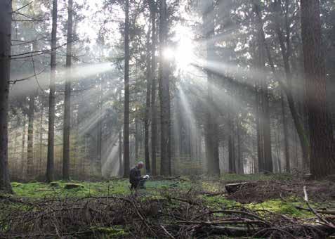 4.4 Behoud: De kernwaarden van het Hondsruggebied beschermen De Hondsrug blijft een UNESCO Global Geopark De kernwaarden van het Hondsruggebied vormen het fundament van de status UNESCO Global