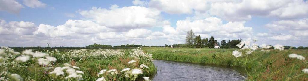 De Hunze beurzen, inzet promotieteam, televisiespots in Ster en Cultuur, TV-items in reisprogramma s van RTL4, artikelen in landelijke kranten en tijdschriften plus vele persberichten.