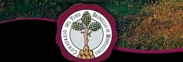 KOOPWIJZER BRUNELLO DI MONTALCINO Waar moet ik op letten bij de aankoop van een Brunello di Montalcino en hoe kan ik het beste genieten van deze fantastische wijn.