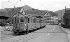 Zwitserland is een land van spoor- en tramlijnen bij uitstek. Naast een uitgebreid netwerk van normaal- en smalspoorlijnen kent en kende het land een keur aan lokale en interlokale tramlijnen.