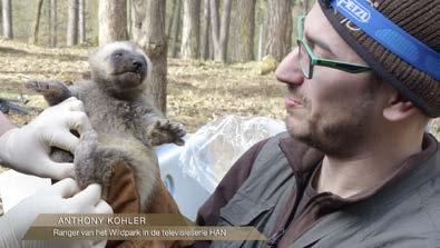 Een unieke manier om achter de schermen te kijken van het Wildpark en de Grotten van Han en het alledaagse leven van de rangers mee te maken!