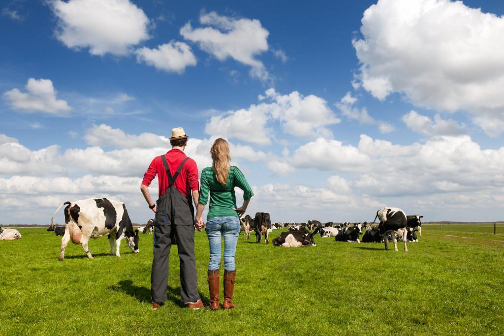 Gesprekken grondeigenaren en pachters De basis van een gedragen windplan moet aansluiten bij de uitgangspunten van de Windvisie.