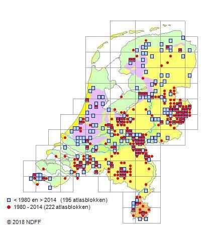 De vondsten zijn de meest noordelijke in Noord-Holland, maar daar zal de komende jaren wel verandering in komen.