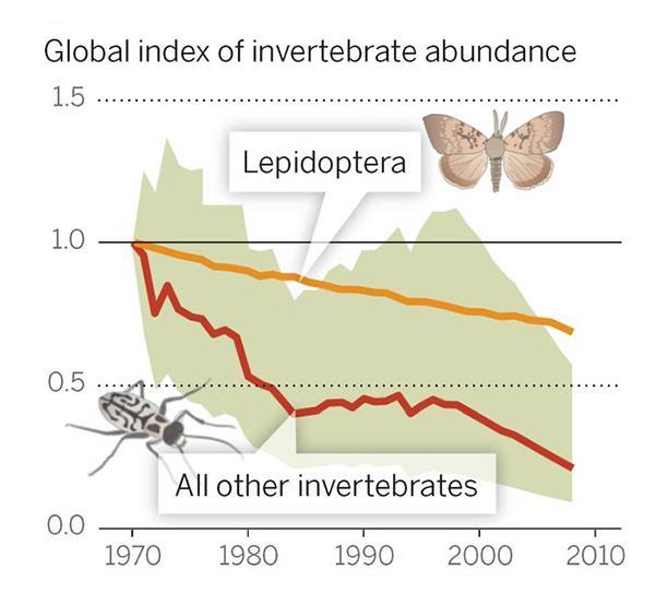Grafiek 2: Globale index van het voorkomen van ongewervelde dieren Bron: YaleEnvironment360 (2016)/ Dirzo, Science (2014) 6.