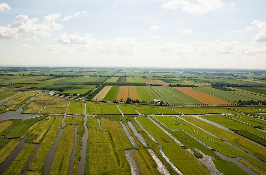 Verdroging natuur door