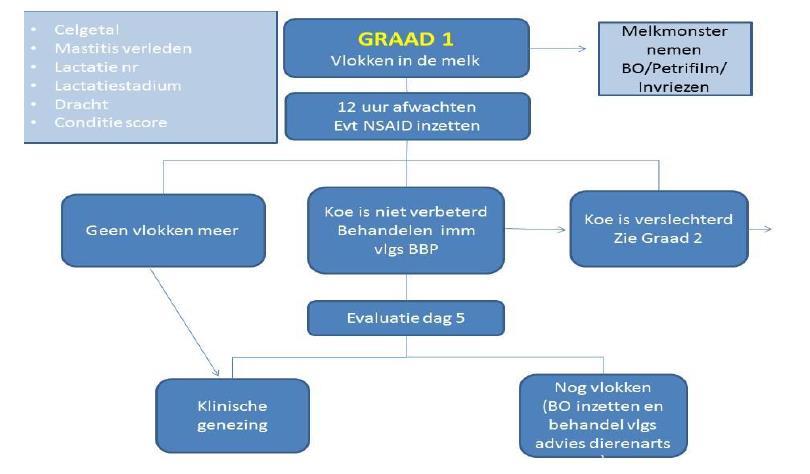 Bijlage 4