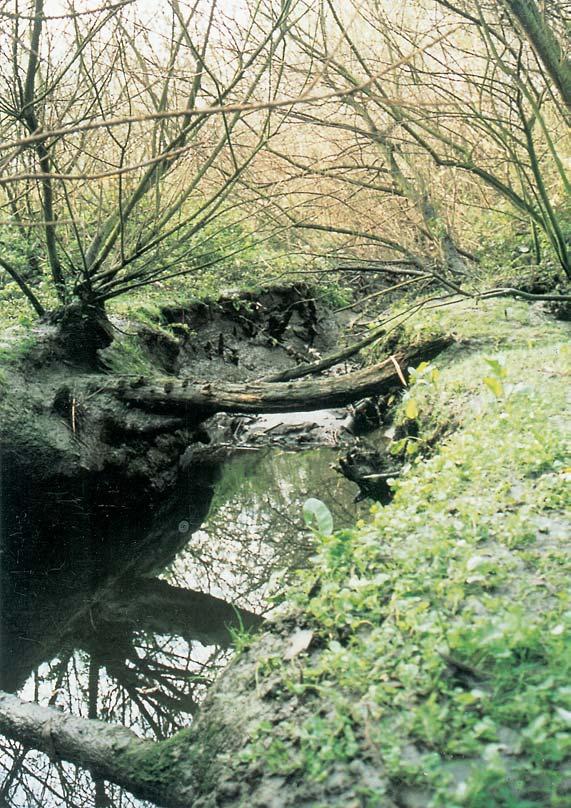 De rivier mag in geen geval in het keurslijf van een gekanaliseerde vaargeul worden geperst door grootschalige baggerwerken.