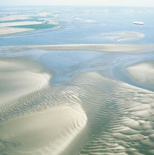 Drooggevallen plaat waarop een patroon van mini-geultjes duidelijk zichtbaar is 5 Hieronder worden deze punten nader toegelicht t.a.v. een verdere verdieping van de Westerschelde. Ad 1.