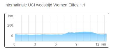 Profiel plaatselijke ronde / Profile local