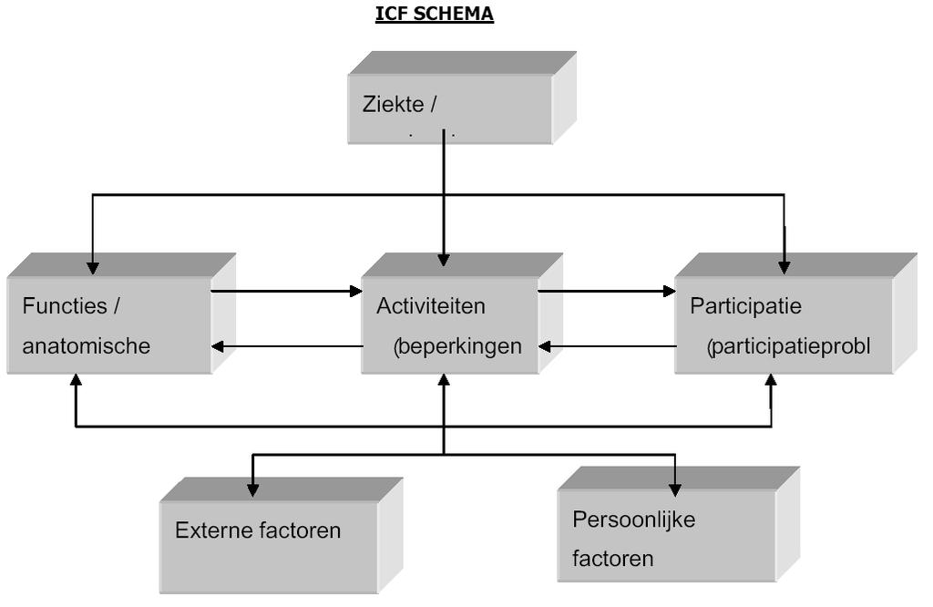 Bijlage I: ICF SCHEMA ICF in het WMO proces Compensatiebeginsel; Dit houdt in dat de gemeente de wettelijke plicht heeft om mensen te compenseren voor hun beperkingen zodat ze echt kunnen deelnemen