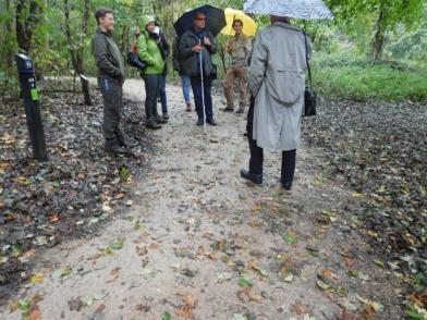 Voeg speelwaarde toe aan het bos om het echt een Speelnatuur van OERRR bos te maken. 25.