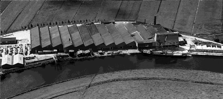 Beeld vanaf het oosten in 1958. Er zijn nu al 14 beuken met sheddak, terwijl het oude rechthoekige gebouw moest wijken (foto KLM-Aerocarto N.V.). uit het schip bovenop de silo.