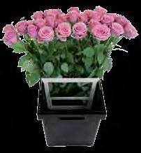 Wij bieden verschillende display systemen voor de perfecte presentatie van uw bloemen.