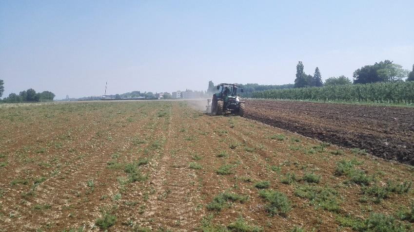 Dikke fractie moet emissiearm worden aangewend: Weekdagen: binnen de 2 uur na aanbrengen onderwerken (vb. met cultivator of ploeg) Zaterdagen: onmiddellijk na de aanwending onderwerken (vb.