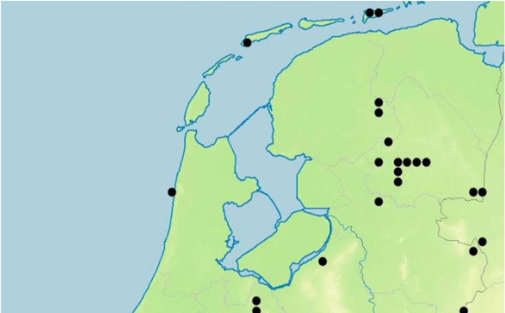 Figuur 5: Verspreiding van Glaenocorisa propinqua in Nederland (kaart: Berend Aukema. Pijl: Pirolavallei.
