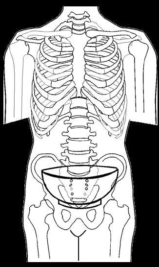 De Tan Tien is je fysiek center. Dit bevindt zich centraal in je buik, achter en een beetje onder je navel. Het bekken is zoals een kom in je lichaam waar je organen in liggen.