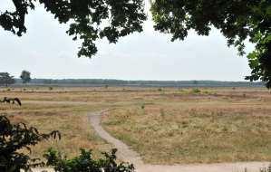 Bos-en heidegebieden Daarnaast zijn er in de directe omgeving verschillende bos- en heidegebieden waar vrij gewandeld kan worden.