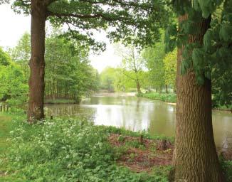 oude verkavelingspatronen uiten zich nog slechts in de schuine richting van de sloten. De Hollandse Waterlinie heeft zijn functie lang geleden verloren maar is ook als systeem niet meer intact.