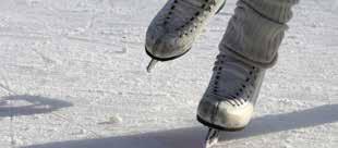 Krokusvakantie 2019 Maandag 4 maart 2019: Schaatsen Antarctica Leeftijd: 6 t.e.m. 12 jaar Prijs: 4,50 (+ 3,00 huur schaatsen) Uren: 9.30u 12.00u Vervoer: zelf naar de schaatsbaan komen.