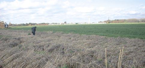 Kartering locaties gedoogovereenkomst nieuwe stijl (opvangstroken) Voor een groot aantal percelen is aangegeven welke in potentie geschikt waren om er een overlevingsstrook te creëren.