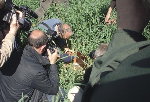 Sinds 2000 hebben agrariërs de mogelijkheid via de Limburgse Land- en Tuinbouwbond (LLTB-Area) naast het geijkte hamsterpakket (Programma Beheer) een alternatieve overeenkomst af te sluiten.