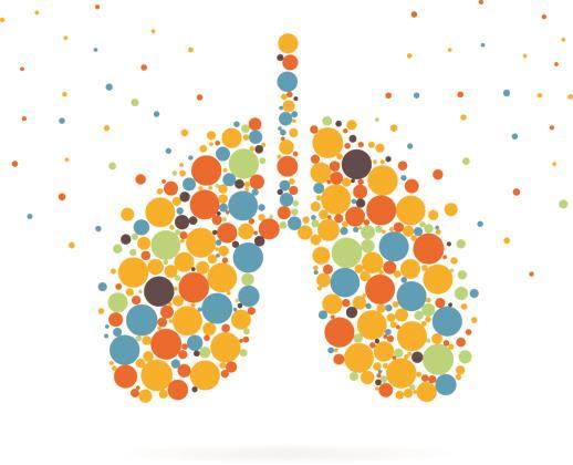 Hoofdstuk 4 Keten astma en COPD In 2017 is 1 grote praktijk gestart en zijn 3 praktijken gestaakt met de ketenzorg astma en COPD.