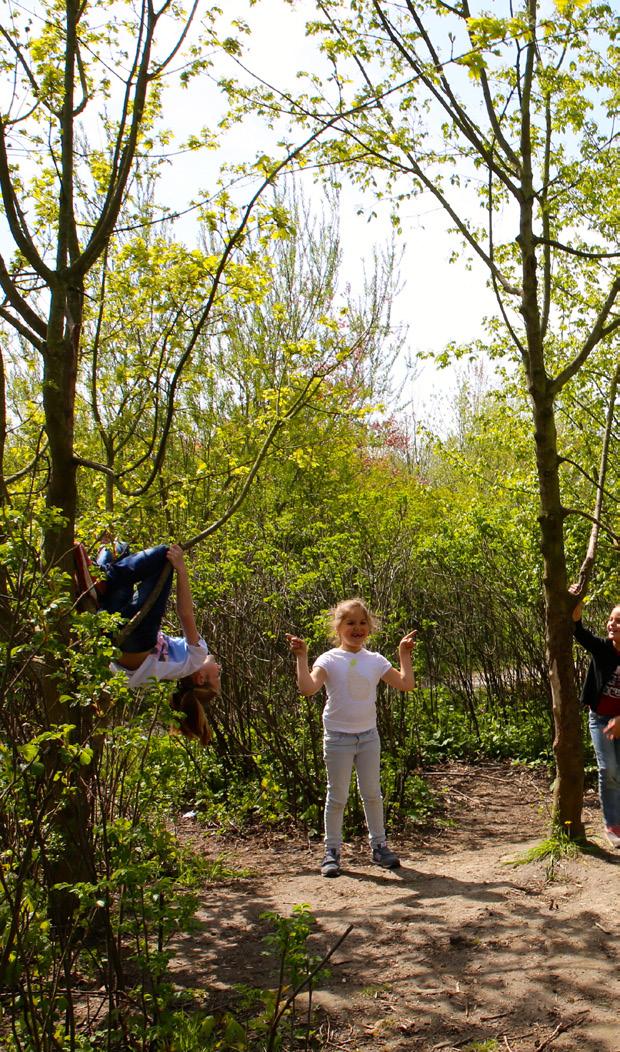 Woensdag 1 augustus Buikschuifbaan en Springkussen Vandaag kan je lekker doen waar je zin in hebt.