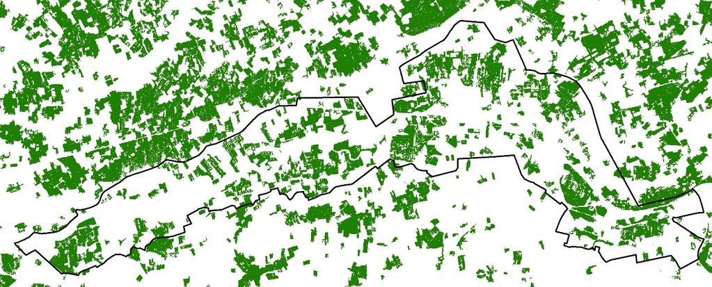 . De historisch permanente bossen op de hellingen van getuigenheuvels worden wel gekenmerkt door een grote ecologische waarde. Figuur 33.. Bestaande bossen (Boswijzer 2013) 5.