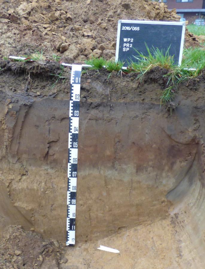 1 2 3 4 5 3.2 Het sporen- en vondstenbestand Fig. 3.3: Zicht op bodemprofiel 2. Er werden in totaal twaalf sporen geregistreerd, elf uit sleuf 1 en één (S12) uit sleuf 2 (fig. 3.4).