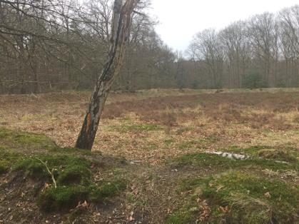 In de omgeving zien we de aarden walletjes die het cultuurland van het boerderijtje omgaven.