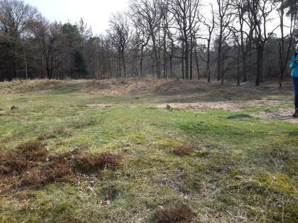 Die liep via de Leusder Heide naar het 17de-eeuwse buiten Den Treek. 5. We volgen het Damreesche Spoor links.