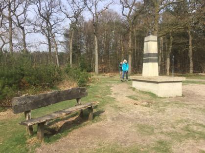 6. De Oude Postweg gaat terug naar de heidezone waar we al eerder tijdens de wandeling op uitkeken. Links liggen enkele stuifklifjes.