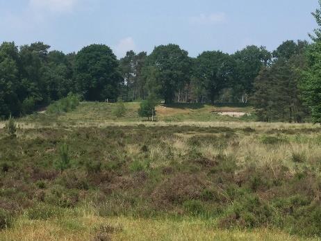 De Kozakkenputroute begint op de deels verharde weg tegenover het Beauforthuis dat aan de